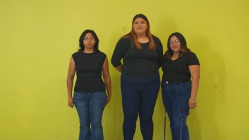 PROYECTO DENOMINADO: JAMUICLE