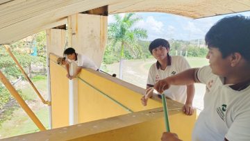 REHABILITACIÓN DE LUMINARIAS